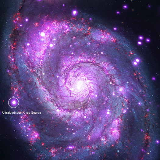 M51